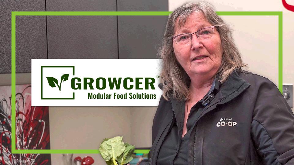 Fresh Sustainable Produce Grown In Ucluelet Growcer Ucluelet Coop